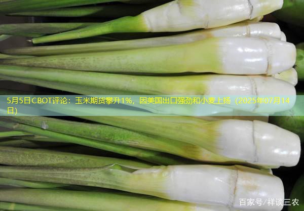 5月5日CBOT评论：玉米期货攀升1%，因美国出口强劲和小麦上扬（2025年07月14日）