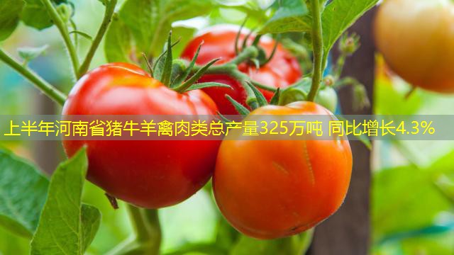 上半年河南省猪牛羊禽肉类总产量325万吨 同比增长4.3%