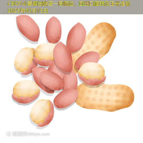 CBOT小麦期货跌至一周低位，因出口疲弱及玉米走软 2025年03月15日