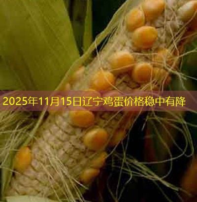 2025年11月15日辽宁鸡蛋价格稳中有降