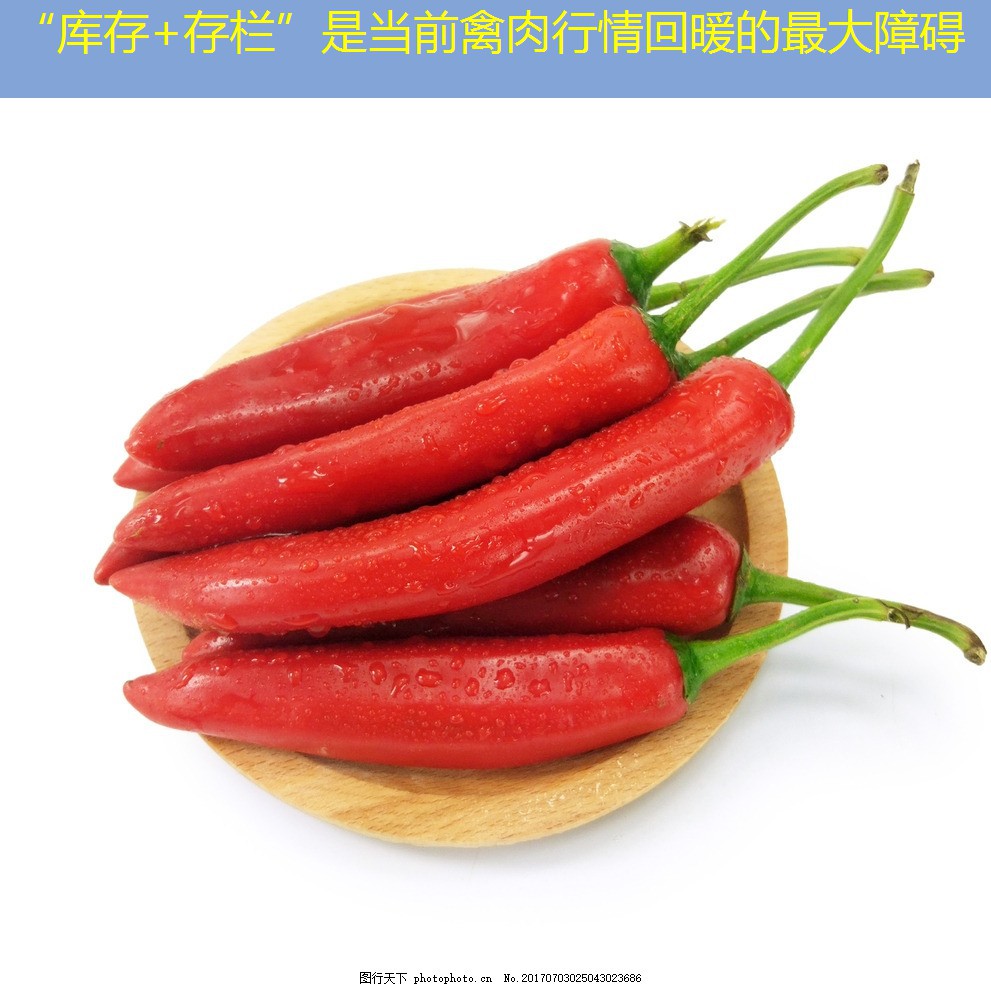 “库存+存栏”是当前禽肉行情回暖的最大障碍