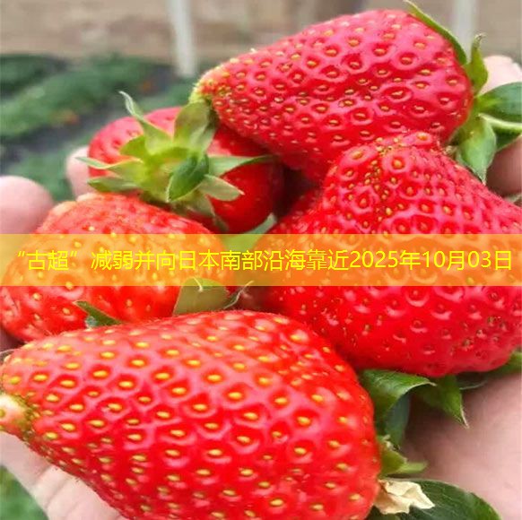 “古超”减弱并向日本南部沿海靠近2025年10月03日