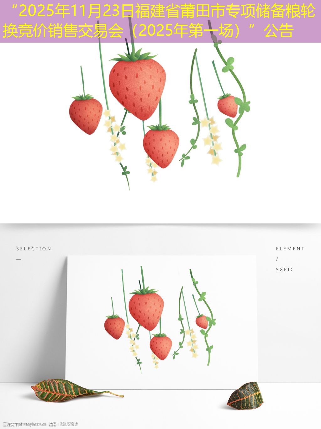 “2025年11月23日福建省莆田市专项储备粮轮换竞价销售交易会（2025年第一场）”公告