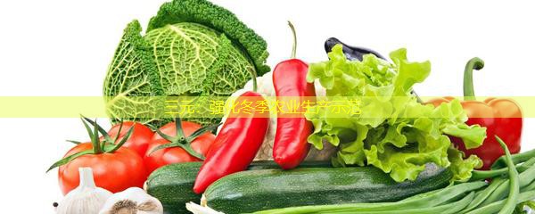 三元：强化冬季农业生产示范