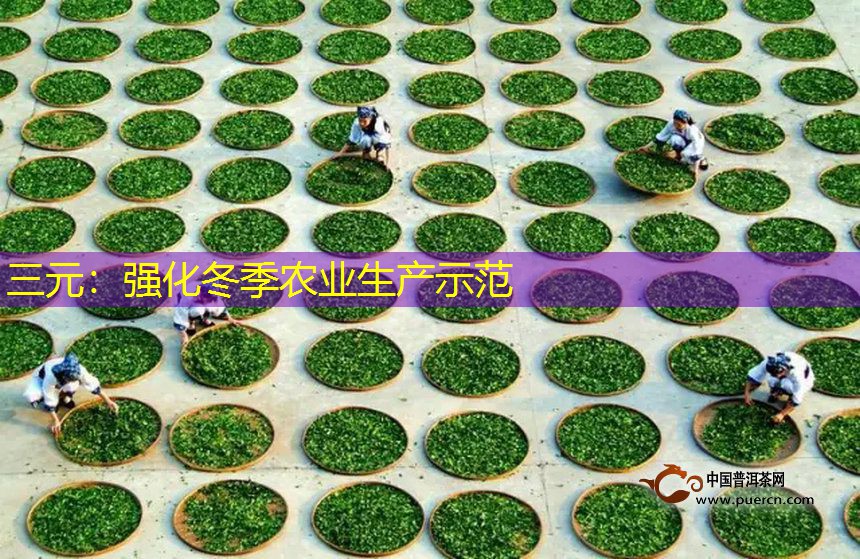 三元：强化冬季农业生产示范