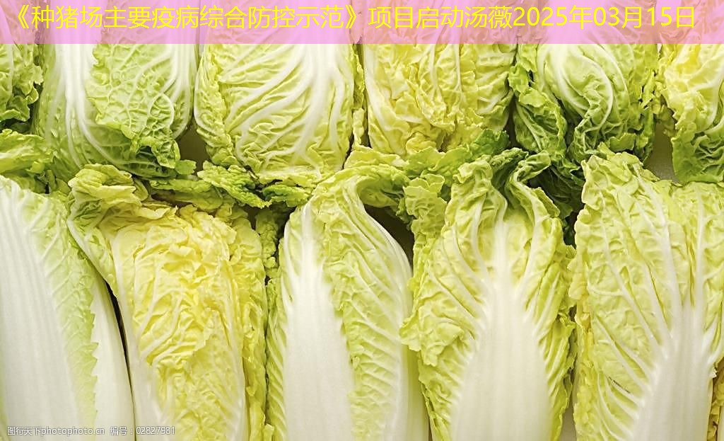 《种猪场主要疫病综合防控示范》项目启动汤薇2025年03月15日