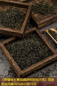 《种猪场主要疫病综合防控示范》项目启动汤薇2025年03月15日