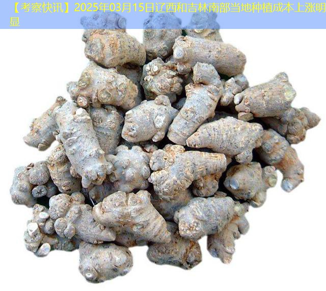 【考察快讯】2025年03月15日辽西和吉林南部当地种植成本上涨明显