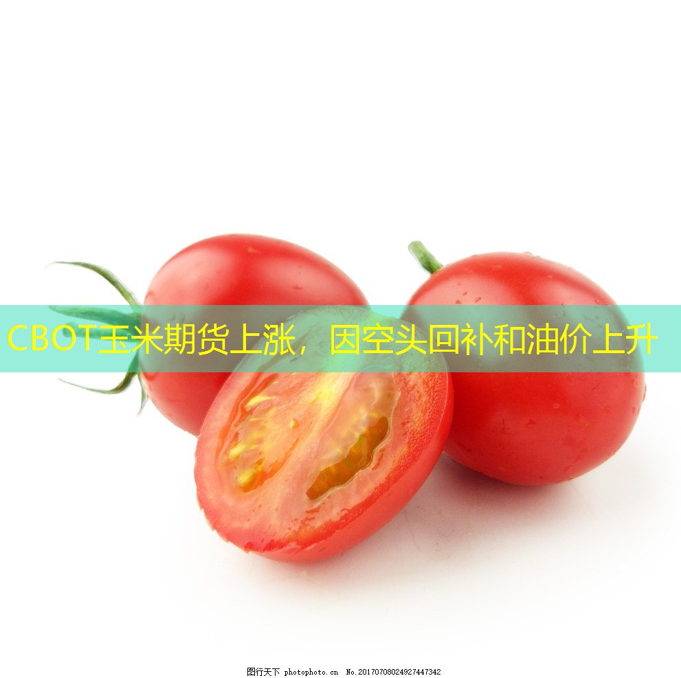 CBOT玉米期货上涨，因空头回补和油价上升