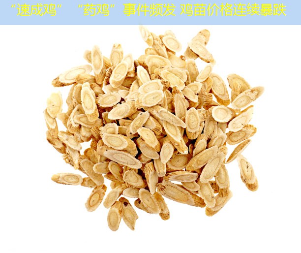 “速成鸡”“药鸡”事件频发 鸡苗价格连续暴跌