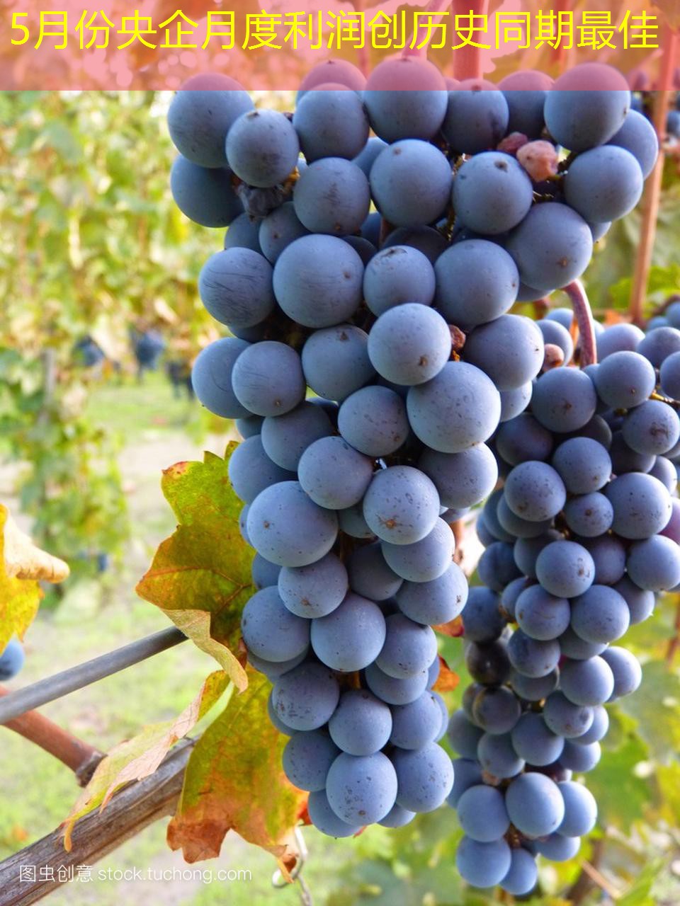 5月份央企月度利润创历史同期最佳