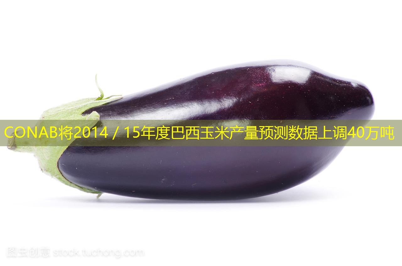 CONAB将2014／15年度巴西玉米产量预测数据上调40万吨