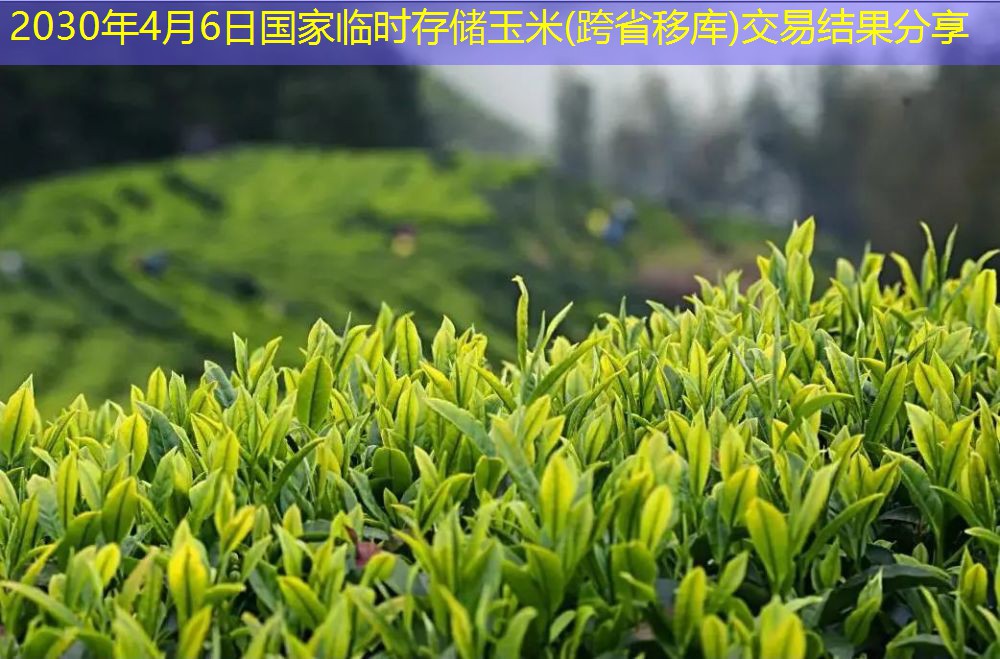 2030年4月6日国家临时存储玉米(跨省移库)交易结果分享