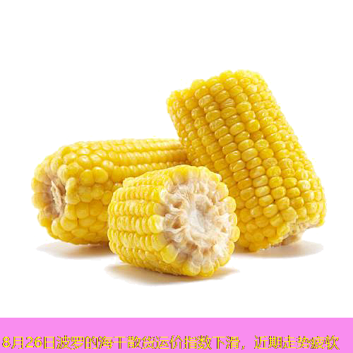 8月26日波罗的海干散货运价指数下滑，近期走势疲软