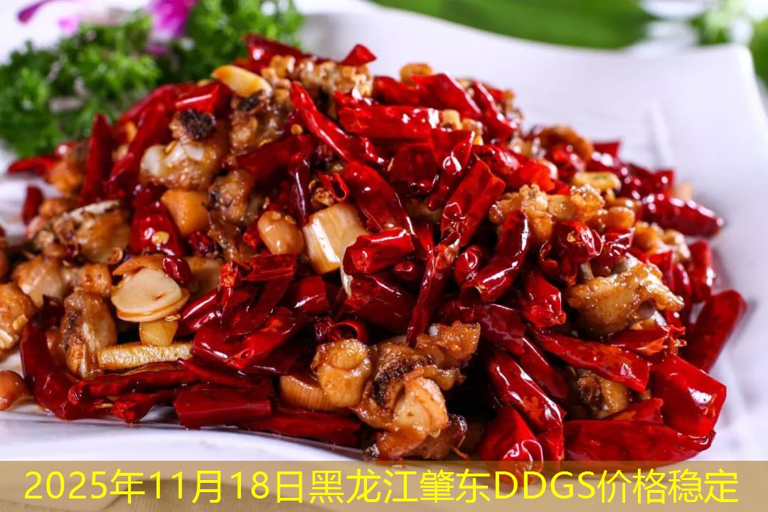 2025年11月18日黑龙江肇东DDGS价格稳定