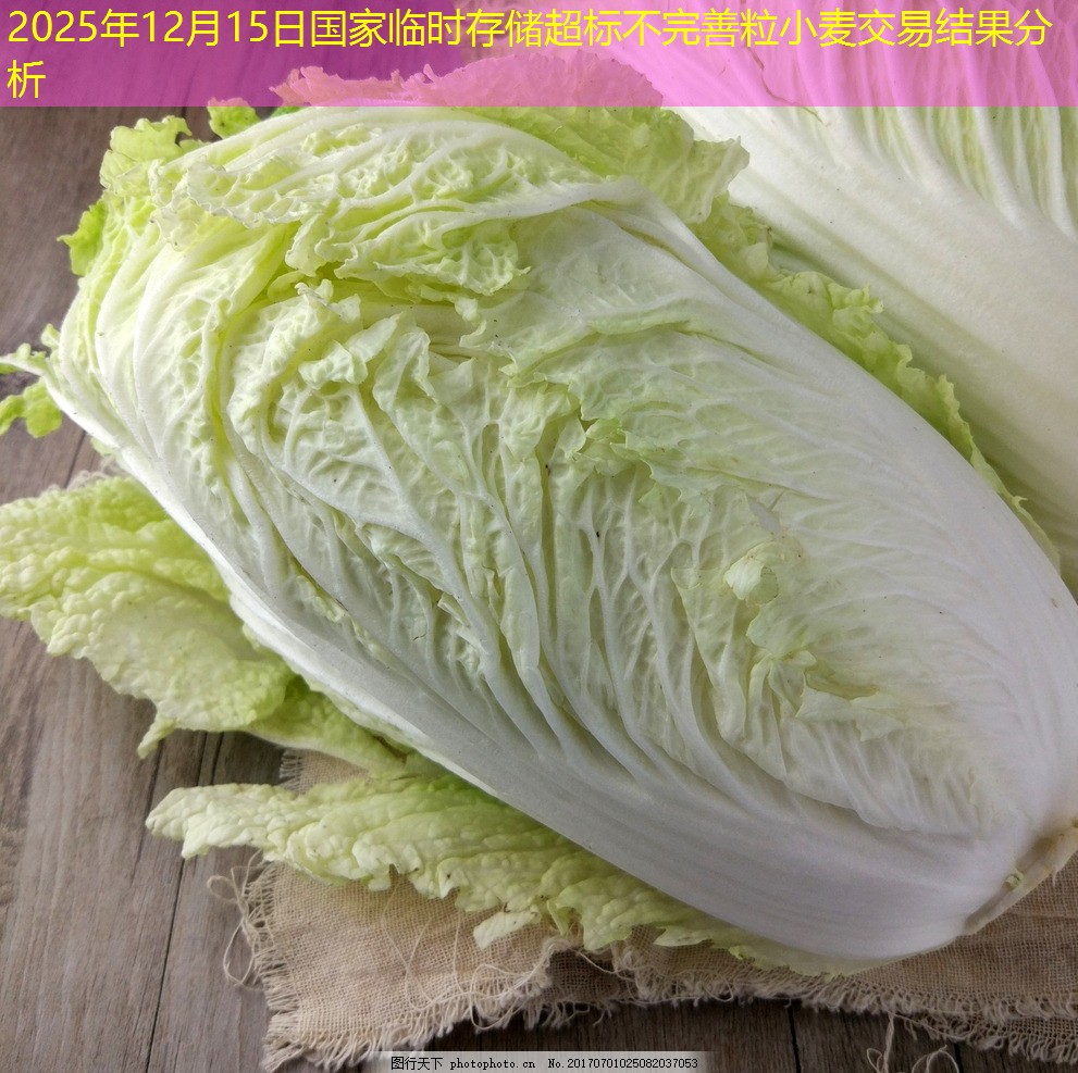 2025年12月15日国家临时存储超标不完善粒小麦交易结果分析