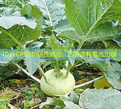 10月CPI是阶段性高点，四季度料难再加息