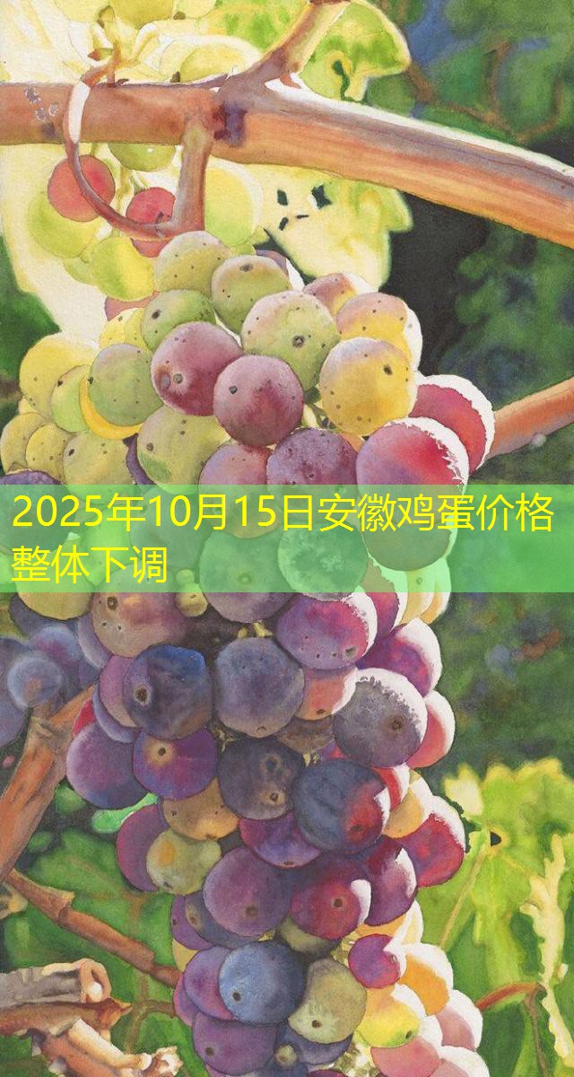 2025年10月15日安徽鸡蛋价格整体下调