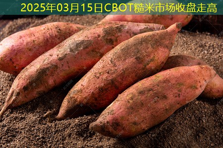 2025年03月15日CBOT糙米市场收盘走高