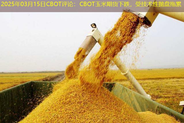 2025年03月15日CBOT评论：CBOT玉米期货下跌，受技术性抛盘拖累