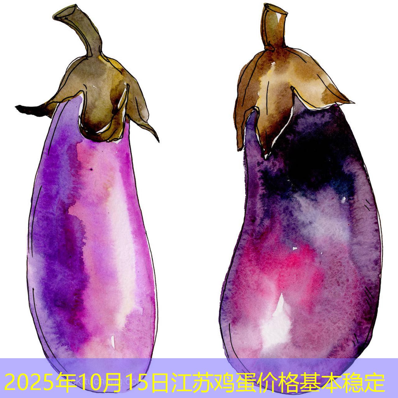 2025年10月15日江苏鸡蛋价格基本稳定