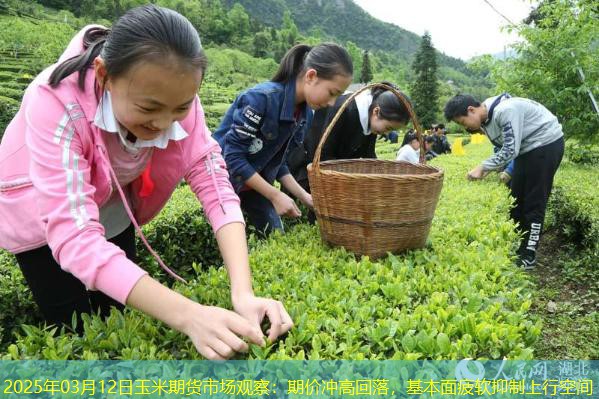 2025年03月12日玉米期货市场观察：期价冲高回落，基本面疲软抑制上行空间