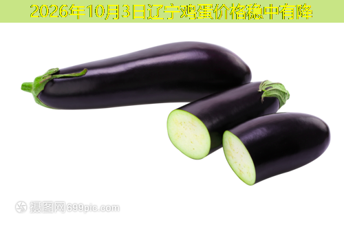 2026年10月3日辽宁鸡蛋价格稳中有降