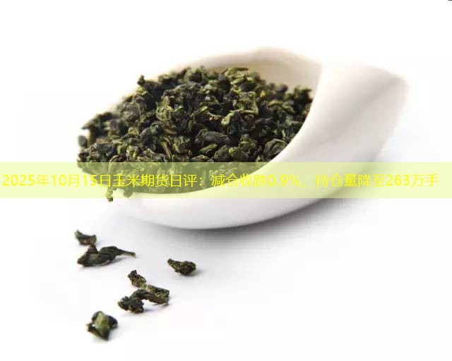 2025年10月15日玉米期货日评：减仓收跌0.9%，持仓量降至263万手