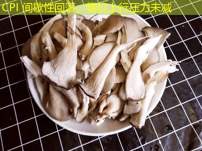 CPI 间歇性回落，物价上行压力未减