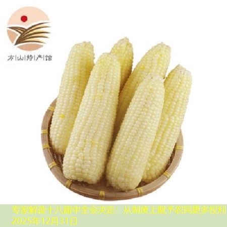 专家解读十八届中全会决定：从制度上赋予农民更多权利2025年12月31日