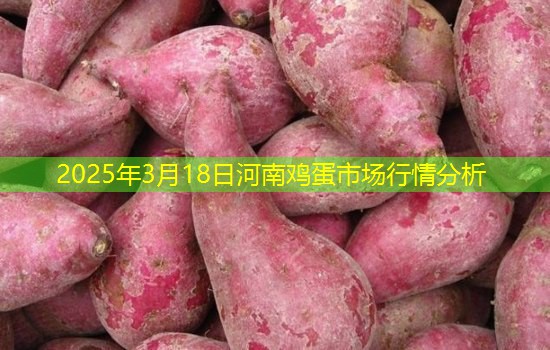 2025年3月18日河南鸡蛋市场行情分析