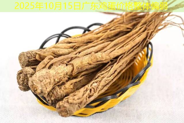 2025年10月15日广东鸡蛋价格整体偏弱