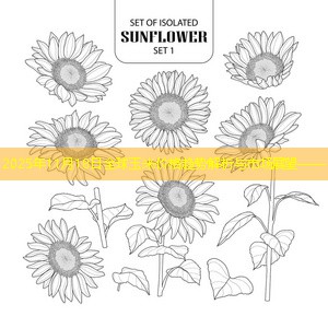 2025年11月18日全球玉米价格趋势解析与市场展望——