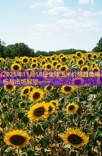 2025年11月18日全球玉米价格趋势解析与市场展望——