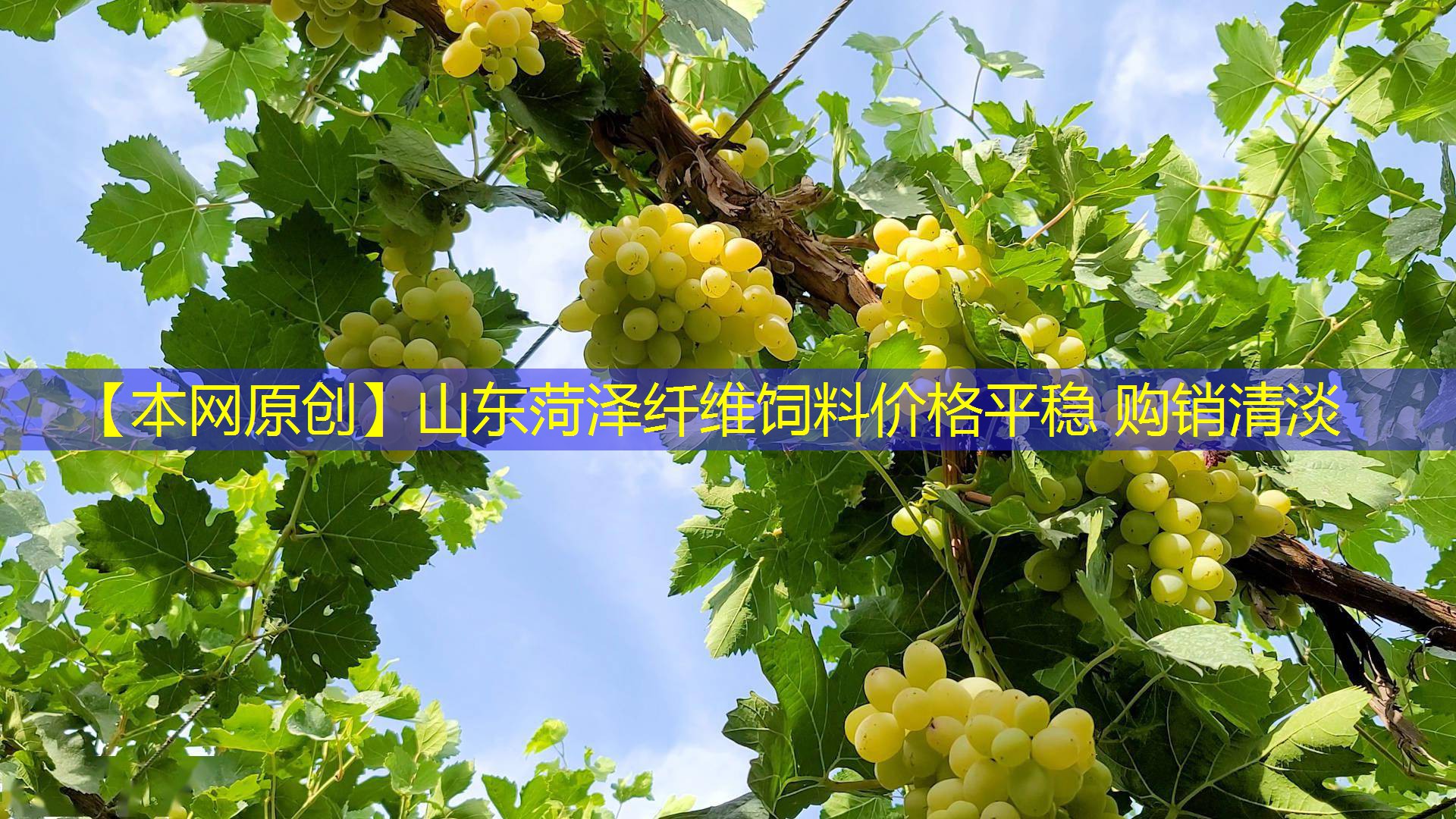 【本网原创】山东菏泽纤维饲料价格平稳 购销清淡