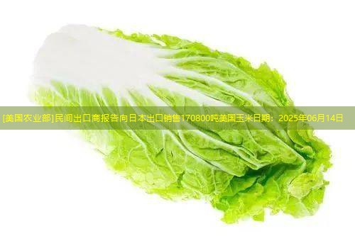 [美国农业部]民间出口商报告向日本出口销售170800吨美国玉米日期：2025年06月14日