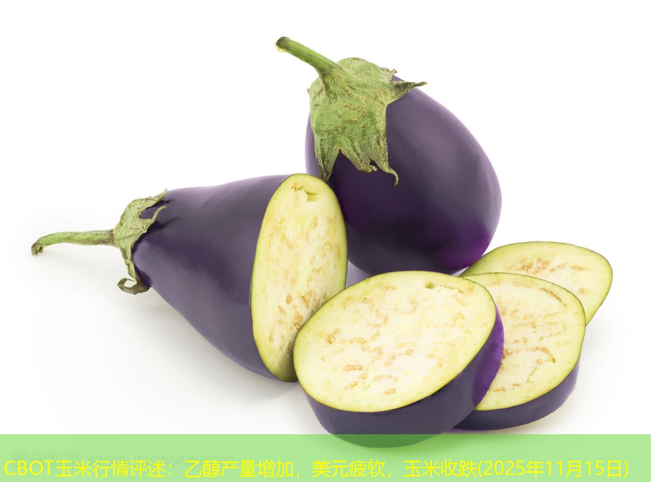 CBOT玉米行情评述：乙醇产量增加，美元疲软，玉米收跌(2025年11月15日)