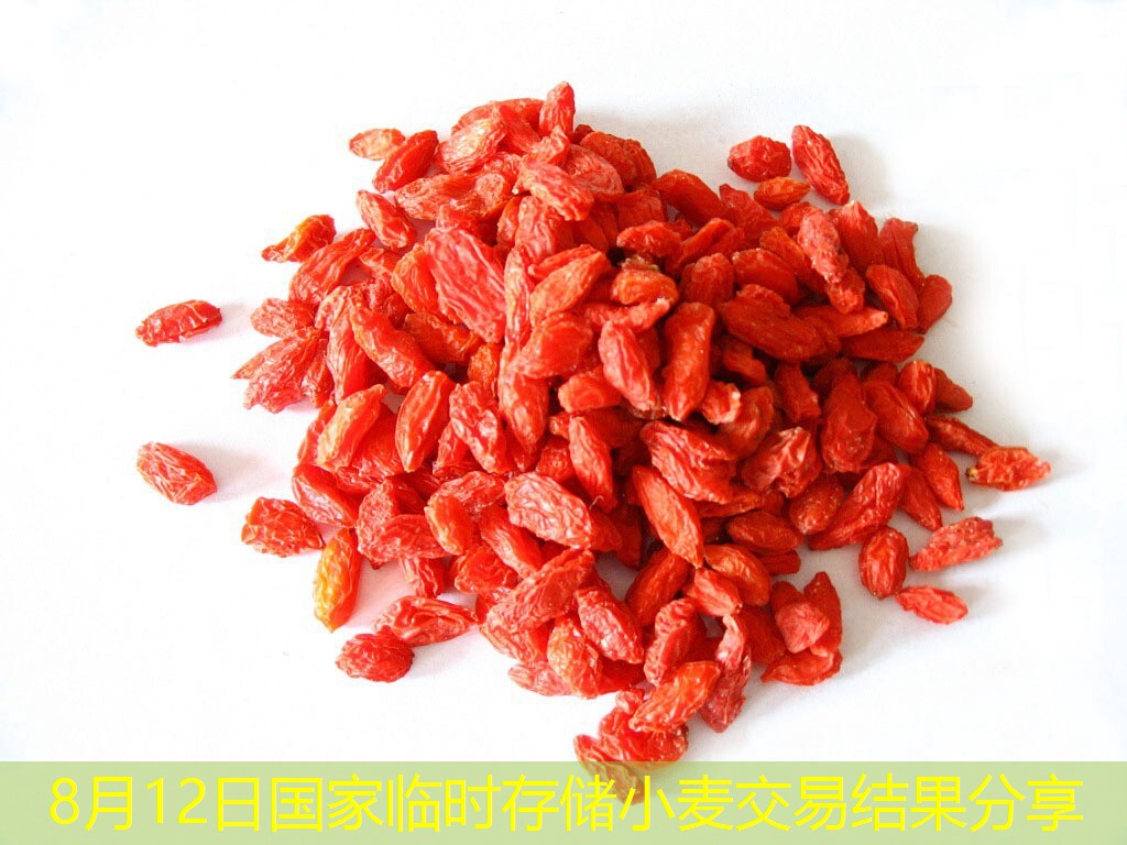 8月12日国家临时存储小麦交易结果分享