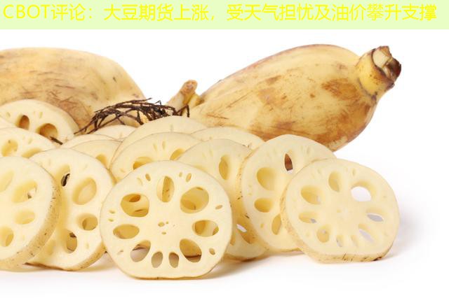 CBOT评论：大豆期货上涨，受天气担忧及油价攀升支撑