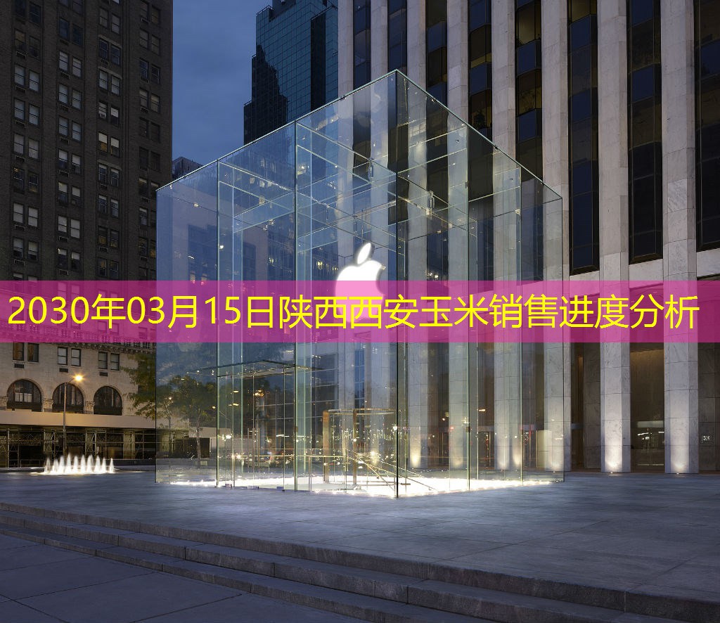 2030年03月15日陕西西安玉米销售进度分析