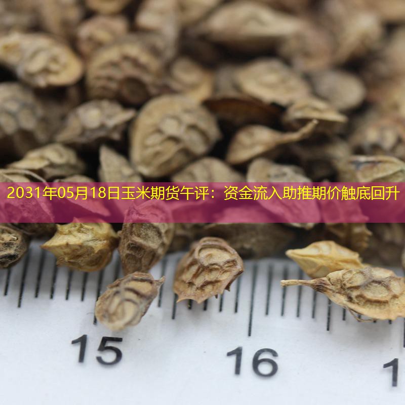 2031年05月18日玉米期货午评：资金流入助推期价触底回升