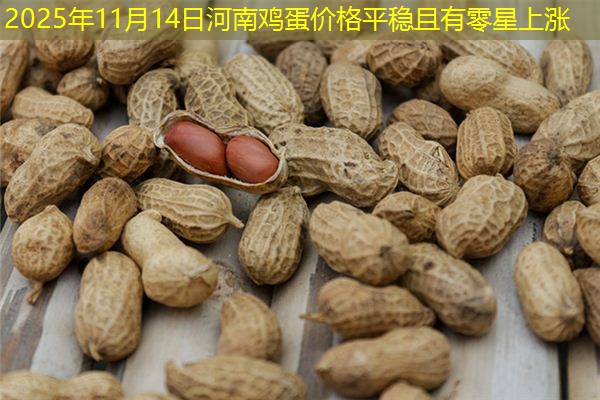 2025年11月14日河南鸡蛋价格平稳且有零星上涨