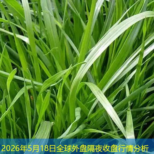 2026年5月18日全球外盘隔夜收盘行情分析