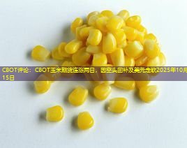 CBOT评论：CBOT玉米期货连涨两日，因空头回补及美元走软2025年10月15日