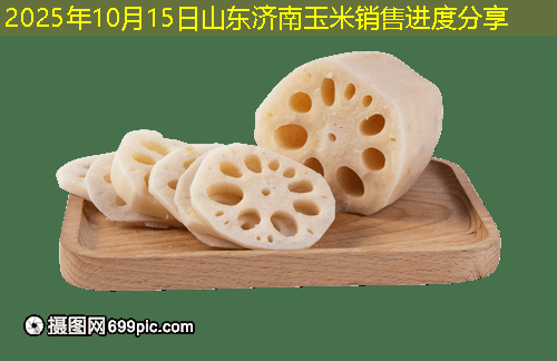 2025年10月15日山东济南玉米销售进度分享