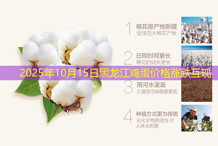 2025年10月15日黑龙江鸡蛋价格涨跌互现
