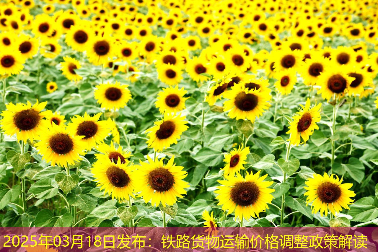 2025年03月18日发布：铁路货物运输价格调整政策解读