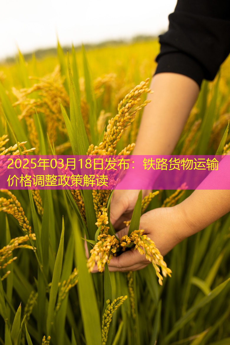 2025年03月18日发布：铁路货物运输价格调整政策解读