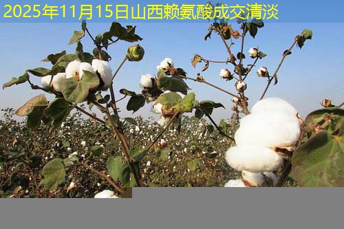 2025年11月15日山西赖氨酸成交清淡