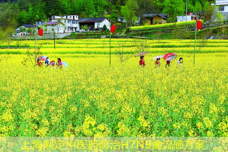 上海制定中医药防治H7N9禽流感方案